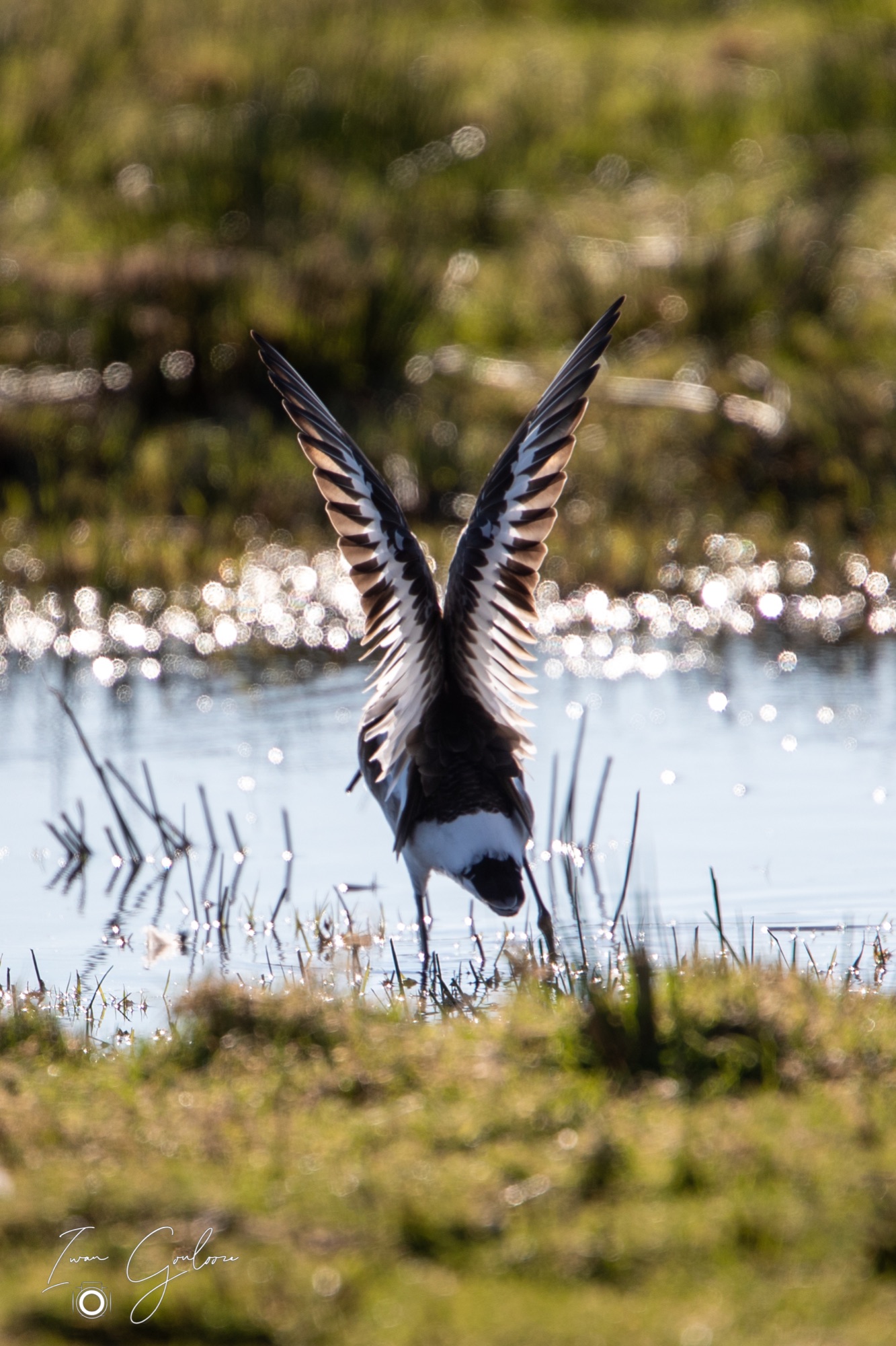 1DX42967 28 februari 2022 1247 28